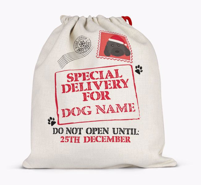 Special Delivery for {dogsName}: Personalised {breedFullName} Santa Sack